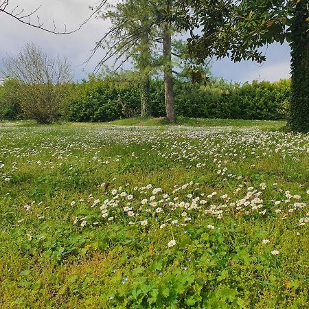 Corte Malpensata Bigarello Dış mekan fotoğraf